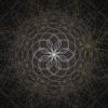 SymmetricWSP