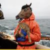 Diptrip