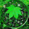 Useful Hemp