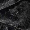 Black_Racoon