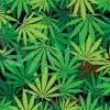 Time 4:20