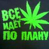 gbib_777