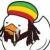 rasta_duck